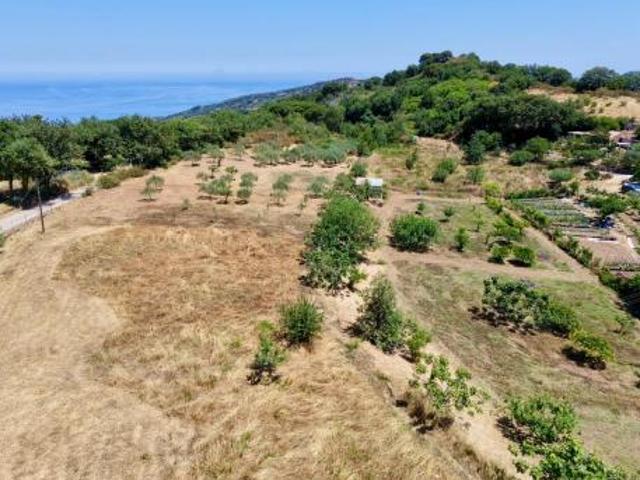 Agricolo in Contrada Vignale