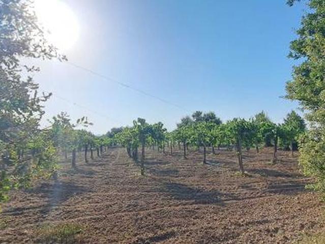 Agricolo in contrada fienile