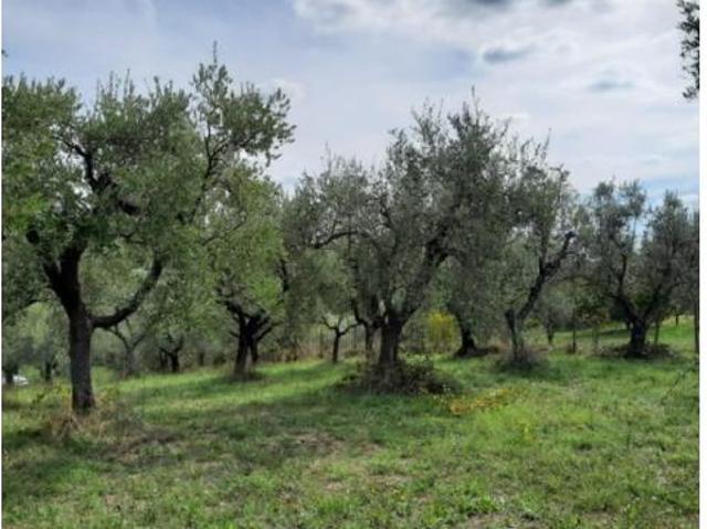 Agricolo in Secondo Stradone Muti