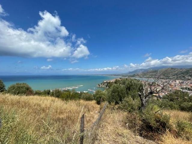 Agricolo in Selva