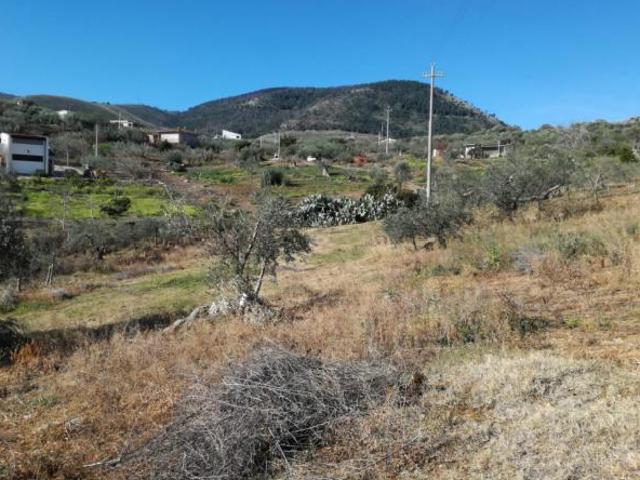 Agricolo in SP126