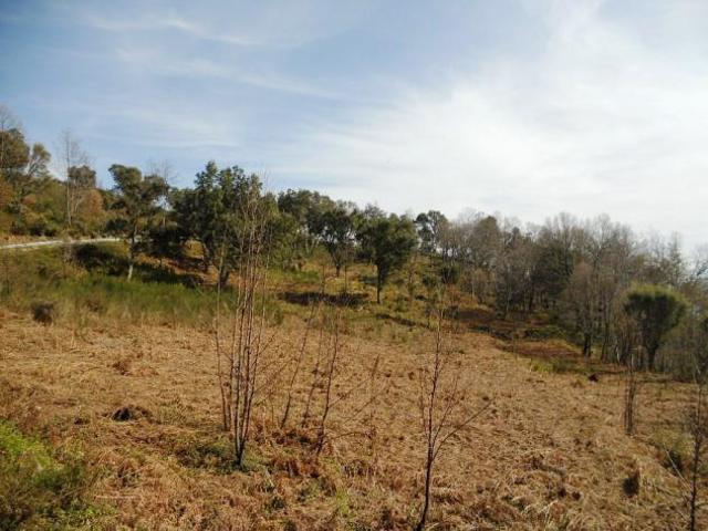 Agricolo in Strada Comunale Crozzanello Santa Maria