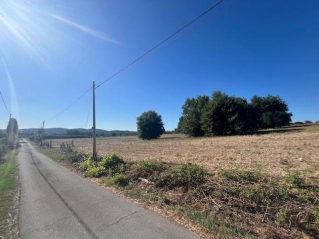 Agricolo in Strada di Sant'Anna