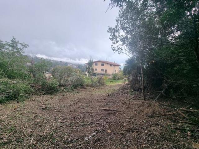 Agricolo in Strada Poggio del Principe
