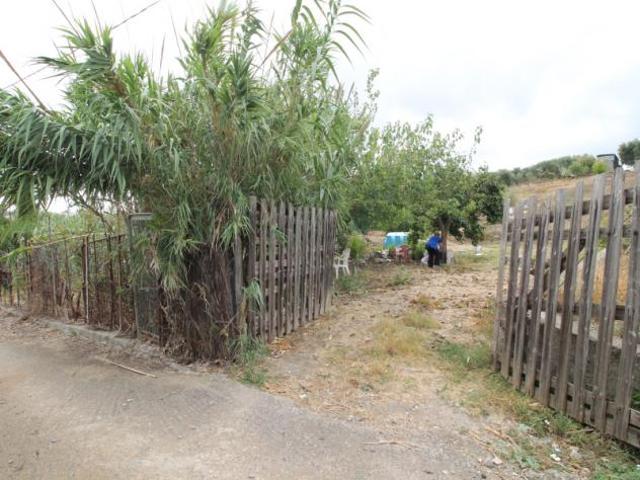 Agricolo in Strada Vicinale Incorvino Santa Caterina 2