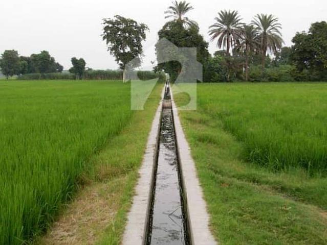 Agricultural Farm For Sale