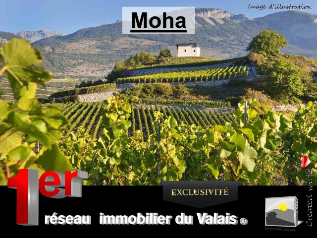 Agricultural lot on sale in Sierre | dreamo. Ch