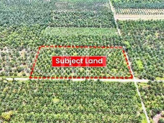 Agricultural Land