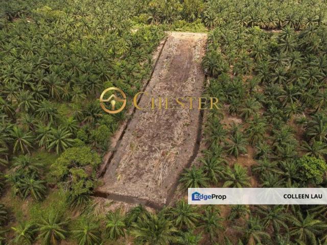 Agricultural Land