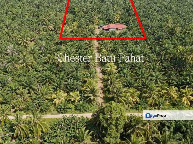 Agricultural Land