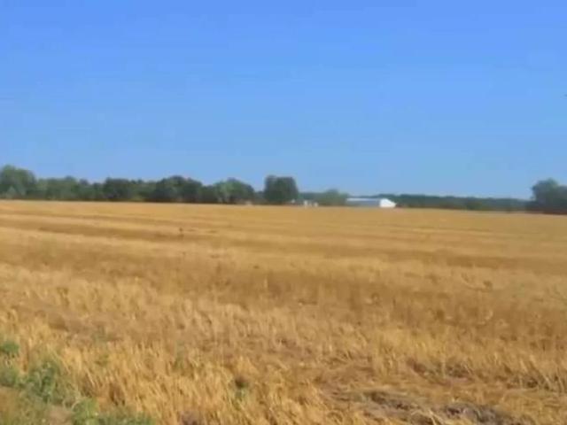 Agricultural land 25 ak Multan ID 12408