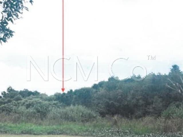 Agricultural Land