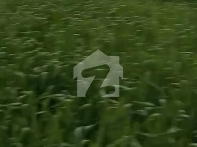 Agricultural Land Available For Sale