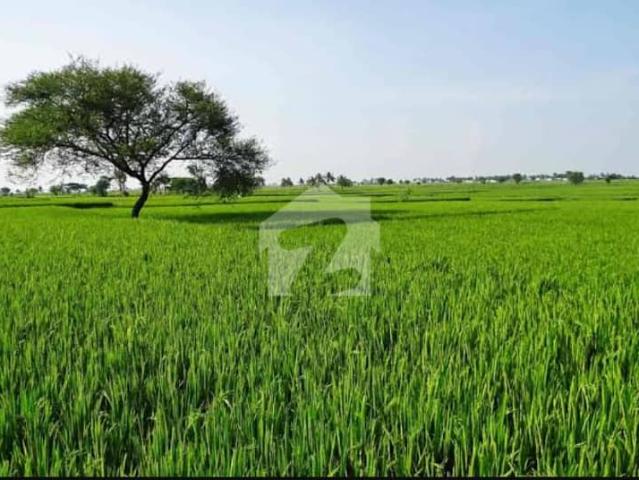 Agricultural Land Available For Sale