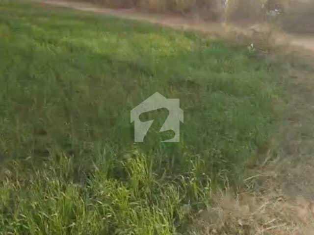 Agricultural Land Available For Sale