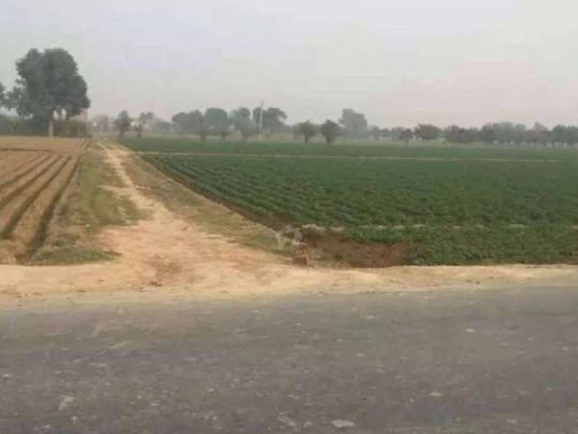 Agricultural land for sale 50 Acre/400 kanal in Bahawalpur district Bahawalpur DHA Bahawalpur ID 50017