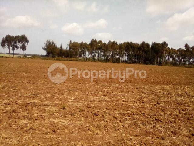 Agricultural Land for sale Timau Meru PID: 9BFLK | PropertyPro