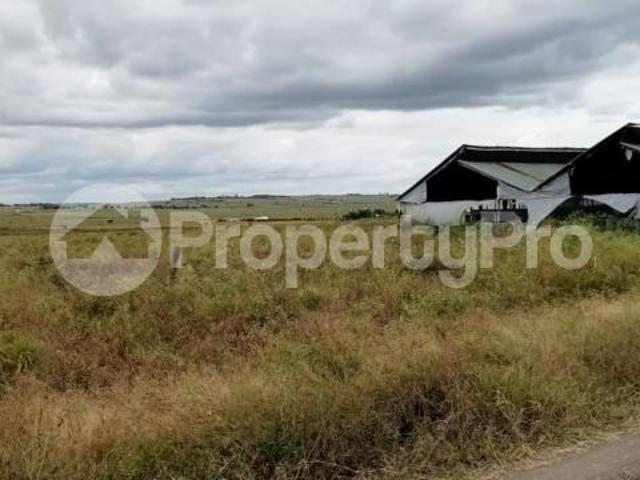 Agricultural Land for sale Isinya Kiserian Road Kajiado PID: 0AVJG | PropertyPro