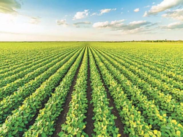 Agricultural land for Sale Lahore Garden Town ID 17321