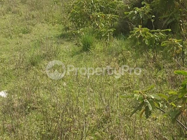 Agricultural Land for sale Laikipia PID: 7BLNG | PropertyPro Kenya