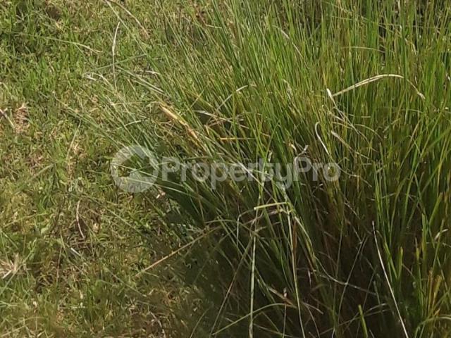 Agricultural Land for sale Laikipia PID: 6BLNH | PropertyPro Kenya