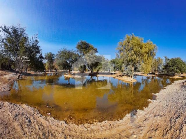 Agricultural Land For Sale Mouza Chebrekani