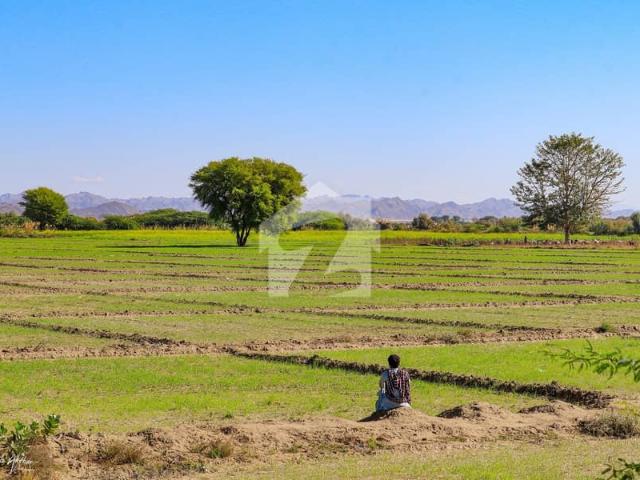 Agricultural Land For Sale Mouza Kiakalat