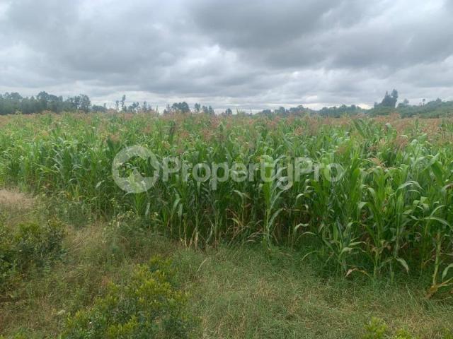 Agricultural Land for sale Mutanga, Nyahururu, Laikipia PID: 4AYFC | PropertyPro