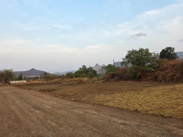Agricultural Land in Talwade Trimbak for resale Nashik. The reference number is 20315807