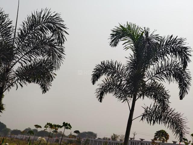 Agricultural Land in Tatibandh for resale Raipur. The reference number is 19442007