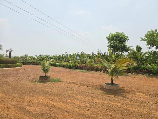 Agricultural Land in Tatibandh for resale Raipur. The reference number is 20659511