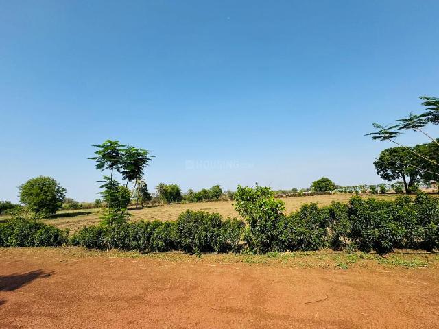 Agricultural Land in Tatibandh for resale Raipur. The reference number is 20690251