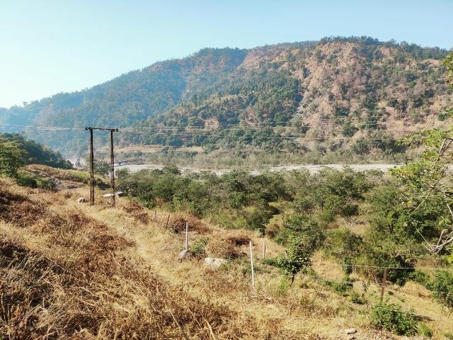 Agricultural Land in Thano for resale Dehradun. The reference number is 13824814