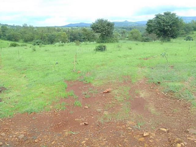 Agricultural Land in Trimbak for resale Nashik. The reference number is 16092547