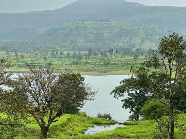 Agricultural Land in Trimbak for resale Nashik. The reference number is 16288303