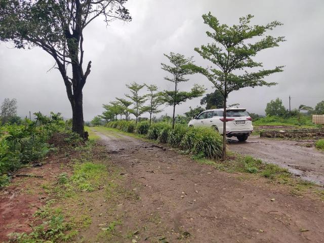 Agricultural Land in Trimbak for resale Nashik. The reference number is 7988862