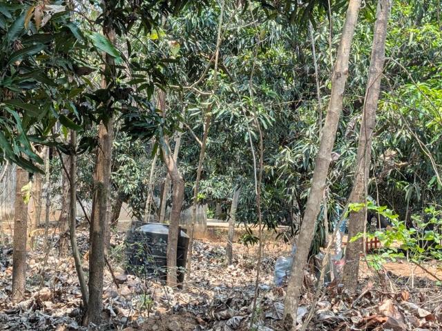 Agricultural Land in Uthukkottai for resale Chennai. The reference number is 20016506