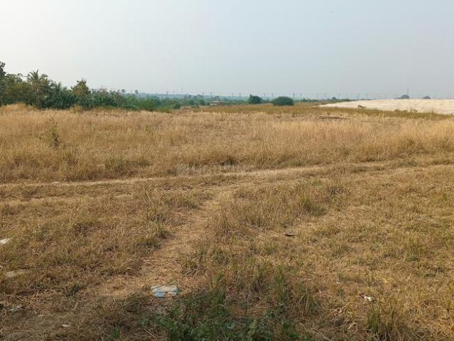 Agricultural Land in Vangaon for resale Mumbai. The reference number is 13357366
