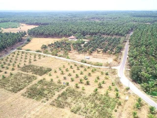 Agricultural Land in Vadasithur for resale Coimbatore. The reference number is 19139742