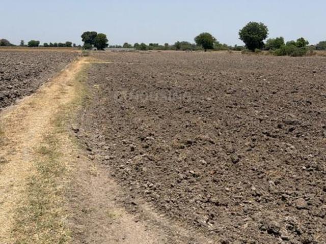 Agricultural Land in Vekra for resale Mehsana. The reference number is 20385295