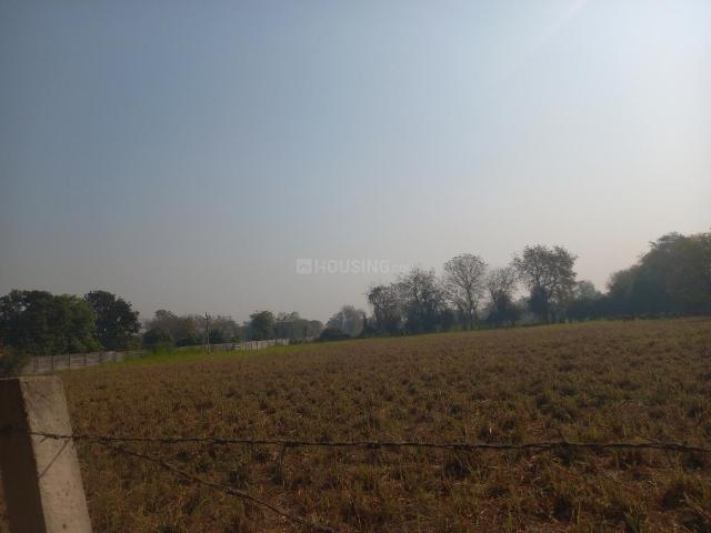 Agricultural Land in Viramgam for resale Ahmedabad. The reference number is 19574925