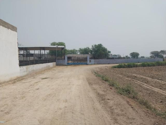 Agricultural Land in Vrindavan for resale Mathura. The reference number is 14794686
