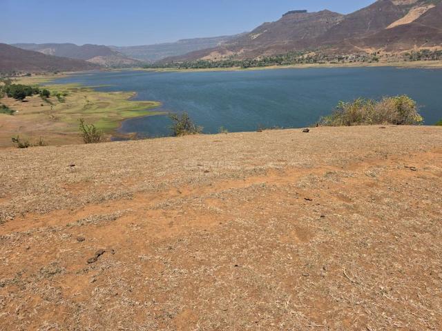Agricultural Land in Wai for resale Satara. The reference number is 20097082