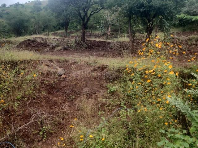 Agricultural Land in Wai for resale Satara. The reference number is 20098465