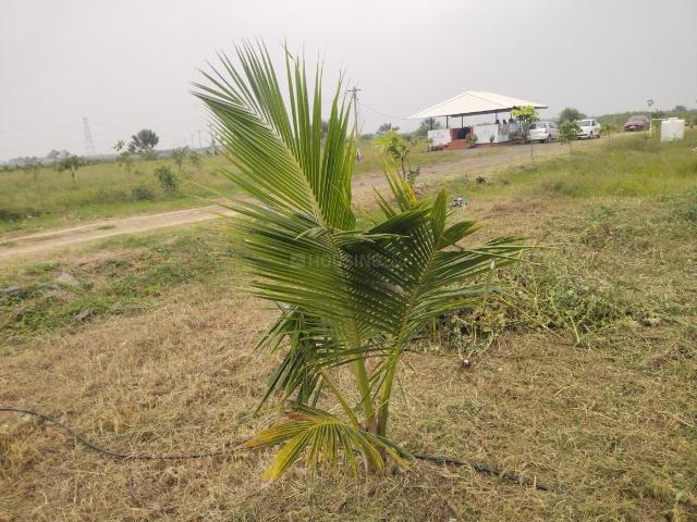 Agricultural Land in Walajabad for resale Chennai. The reference number is 18979250