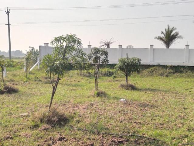Agricultural Land in Walajabad for resale Chennai. The reference number is 19563285