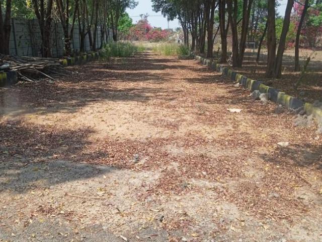 Agricultural Land in Yadagirigutta for resale Yadadri Bhuvanagiri. The reference number is 20261215