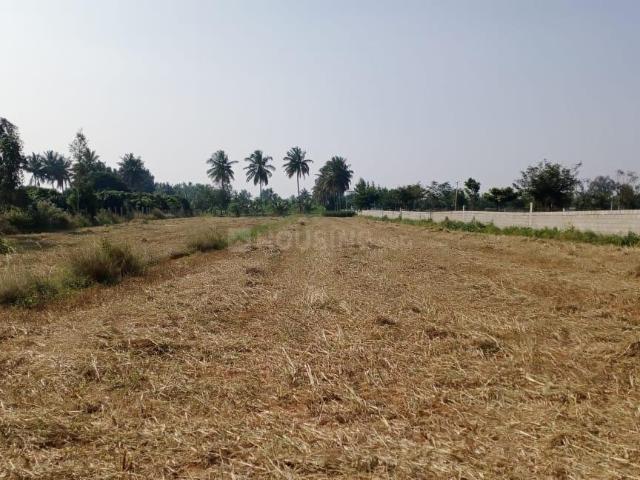 Agricultural Land in Yelahanka for resale Bengaluru. The reference number is 20733472
