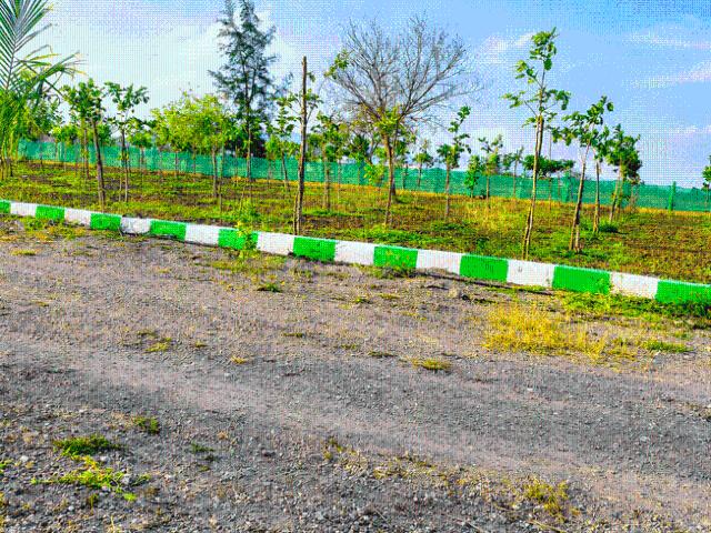 Agricultural Land in Acharapakkam for resale Chennai. The reference number is 20719311
