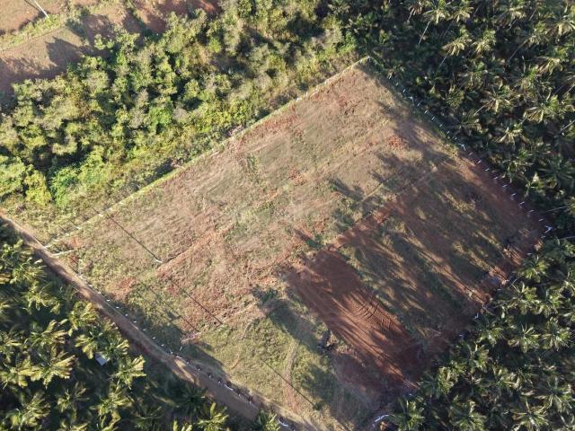 Agricultural Land in Achipatti for resale Pollachi. The reference number is 19809866